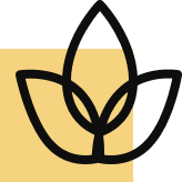 Multi cuisine restaurant